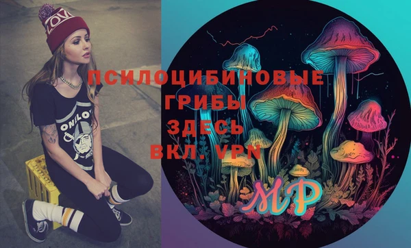 твердый Лабытнанги