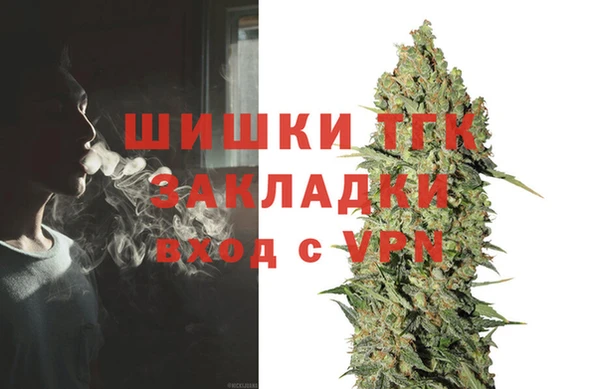 сатива Ладушкин