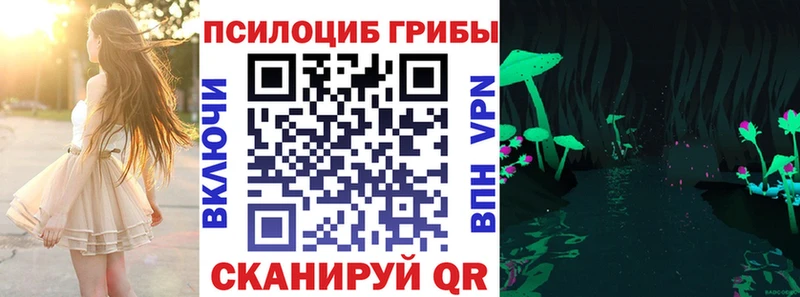 купить наркоту  Таруса  Галлюциногенные грибы прущие грибы 